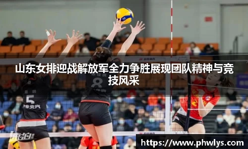 庄闲官网